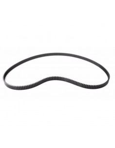 Cinghia di trasmissione...